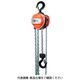 スリーエッチ HHH チェーンブロック 定格荷重0.25t 揚程2.5m R-CB250 1台 808-7221（直送品）