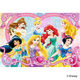 テンヨー プリンセスのおきにいり(ディズニー40ピース) DCー40ー079 1個