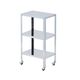 エスコ 460x310x809mm /3段 ワゴン(ステンレス製) EA956MV-12A 1台（直送品）