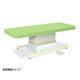 高田ベッド製作所 垂直電動Sタイプ 幅65×長さ170×高さ46~79cm ライムグリーン TB-491 1個 61-5852-86（直送品）