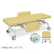 高田ベッド製作所 電動Gカイザー 幅60×長さ180×高さ45~83cm アイボリー TB-1125 1個 63-0382-78（直送品）