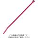 パンドウイット ナイロン結束バンド 4.8×368×1.3 赤 100本入 PLT4S-C2 1袋(100本)（直送品）