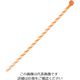 パンドウイット ストライプナイロン結束バンド オレンジ/白 (50本入) PLT1M-L3-10 1袋(50本)（直送品）