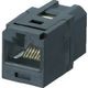 パンドウイットコーポレーション PANDUIT カテゴリ6A JJアダプタ(RJ45中継用ジャック) 黒 CC6X88BL 1個（直送品）