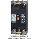 テンパール工業 漏電遮断器 GBー73EC 75A 30MA 73EC7530 1台（直送品）