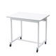 サンワサプライ 作業台 幅1000×奥行700×高さ800mm RAC-WDK10070W 1台（直送品）