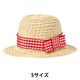 ソルグラ ギンガム麦わら帽子 Sサイズ レッド 1個 犬用 アルクロース