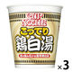 日清食品 カップヌードル 鶏白湯 ビッグ 1セット（3個）