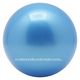 池田工業社 フレンドボール8号 青(空気抜き) 300440 1セット(10個)
