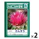 ショウワノート ジャポニカ学習帳 さんすう（算数）B5 14マス JL-2-1 2冊