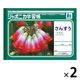 ショウワノート ジャポニカ学習帳 さんすう（算数）B5 7マス 十字リーダー入り JL-1-2 2冊