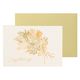 包む バースデーカード シャイニーミモザ TC075 1セット(6個)