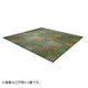 イケヒコ・コーポレーション ラグ い草 ギャベ 抗菌防臭 セレナCP 2610×2610mm グリーン 1030840120402 1枚（直送品）