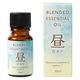 生活の木 ブレンドエッセンシャルオイル 精油 昼（DAY）10mL 1個