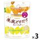 日東紅茶 果実とけだすティーバッグ はちみつレモンティー 1セット（12バッグ：4バッグ入×3袋）