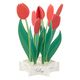グリーティングライフ ブルーミングカード チューリップ KE-36 1個