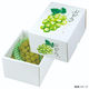 ヤマニパッケージ ギフト箱 もぎたてのぶどうグリーン 小 L-2509 1ケース(40個(10個×4)（直送品）