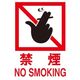 光 サインプレート 禁煙 NO SMOKING HI750-13 1枚 346-8105（直送品）