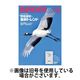 BIRDER（バーダー） 2024/04/16発売号から1年(12冊)（直送品）